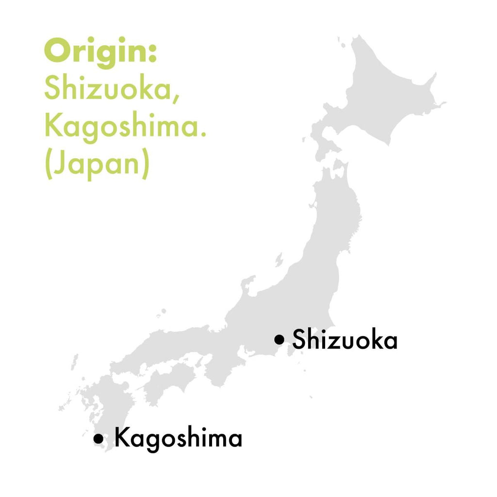 Japan Beginner's Matcha BIO - Barattolo 30g